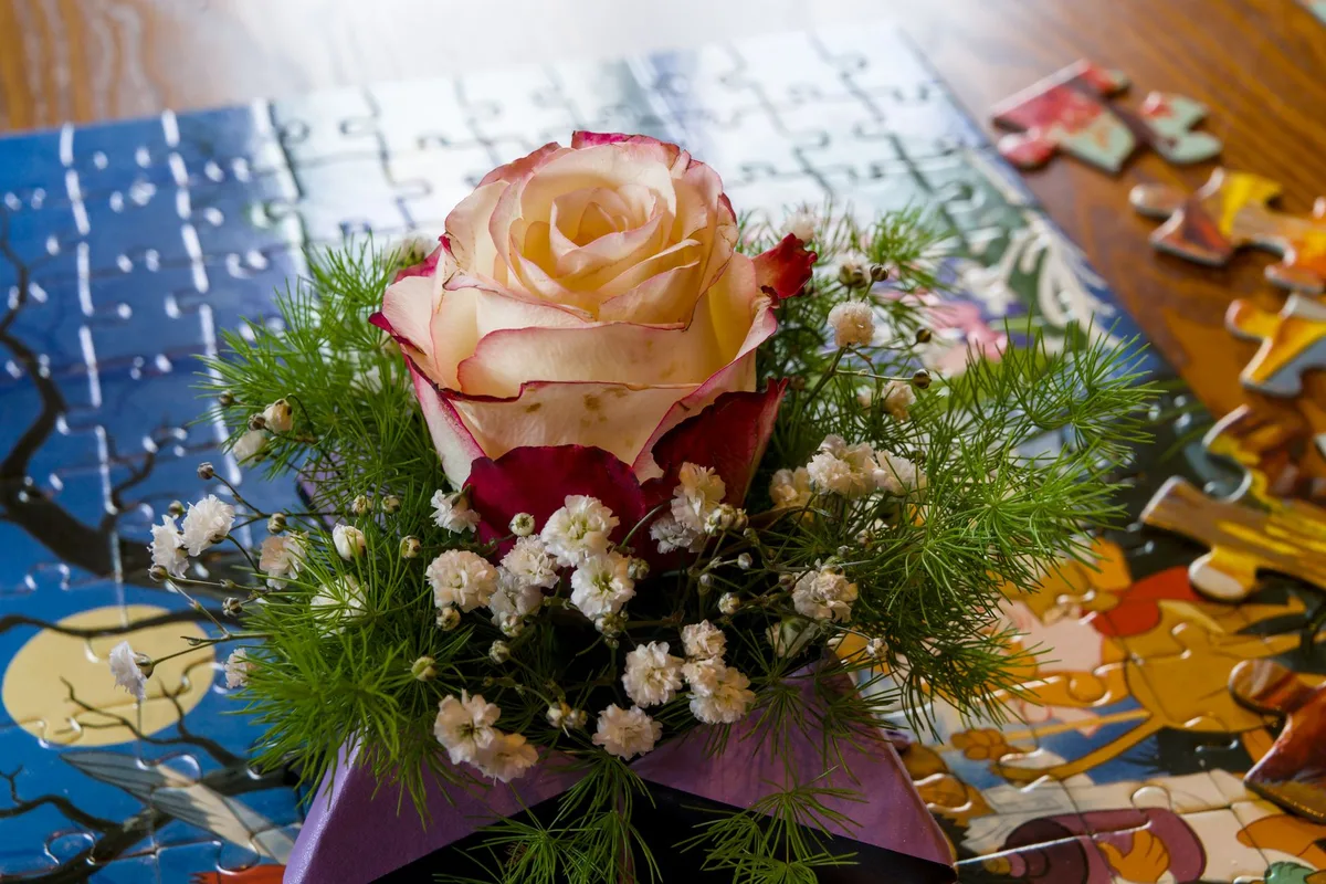 Fleurs et motifs à arranger dans un jardin énigmatique