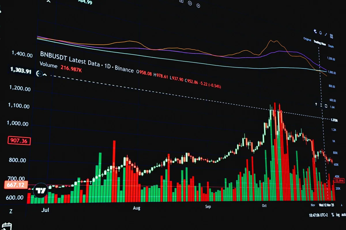 Graphiques de valorisation boursière et données financières d'analyse