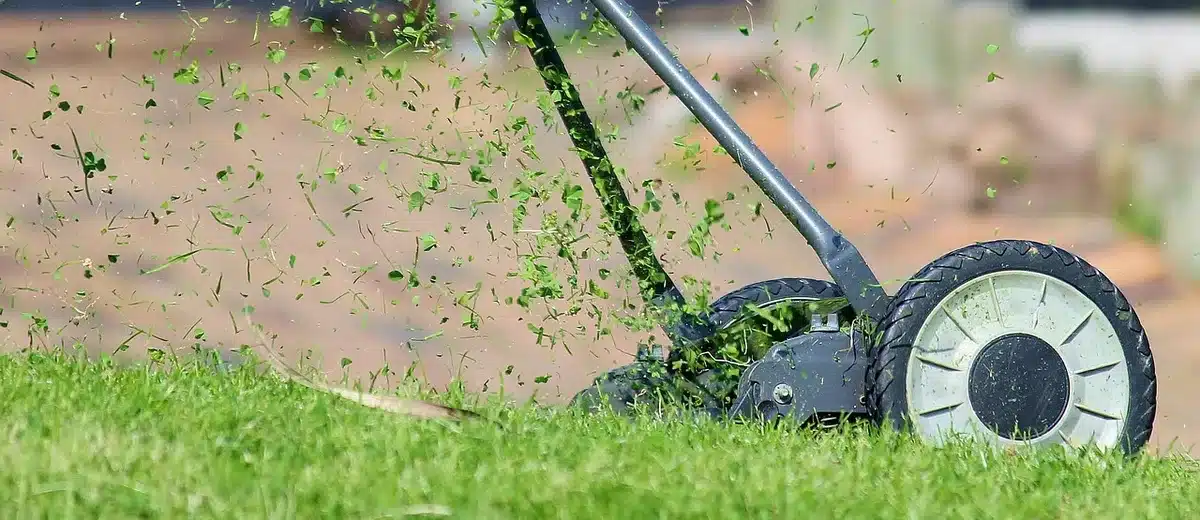 Robot tondeuse autonome sur pelouse avec capteurs visibles