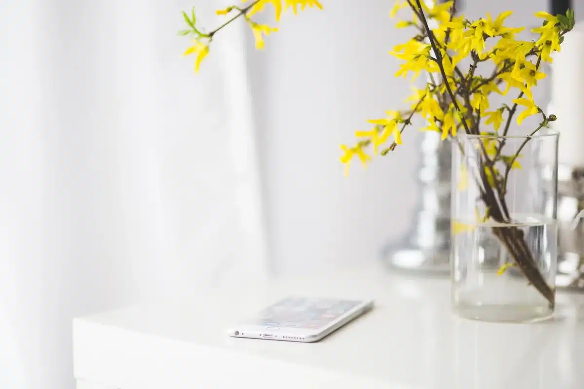 Employée terrain consultant une application mobile interne sur smartphone